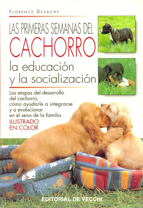 Las Primeras semanas del cachorro