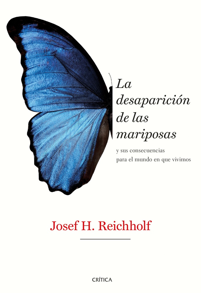 La desaparicion de las mariposas