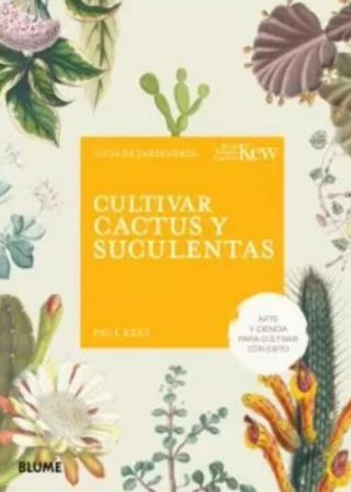 Cultivar cactus y suculentas