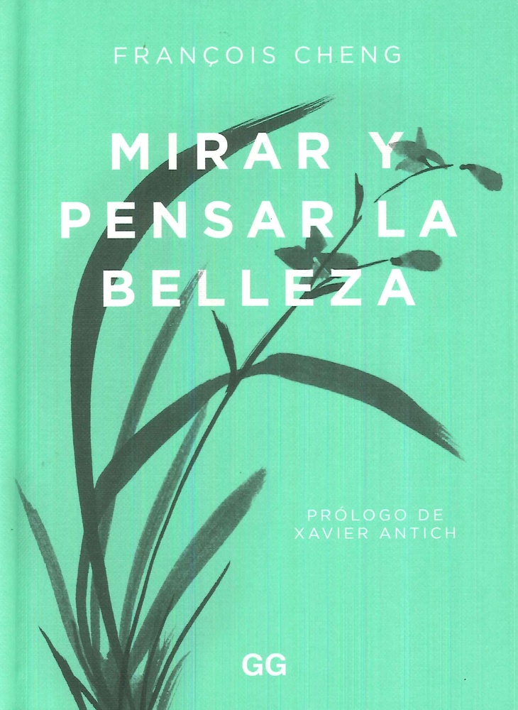 Mirar y pensar la belleza