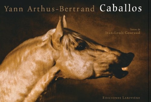 Caballos
