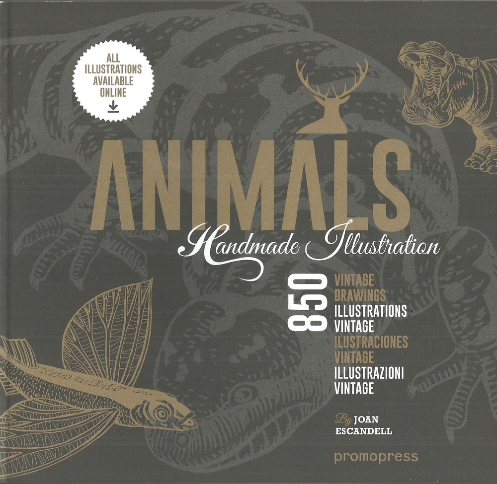 ANIMALS HANDMADE ILLUSTRATION