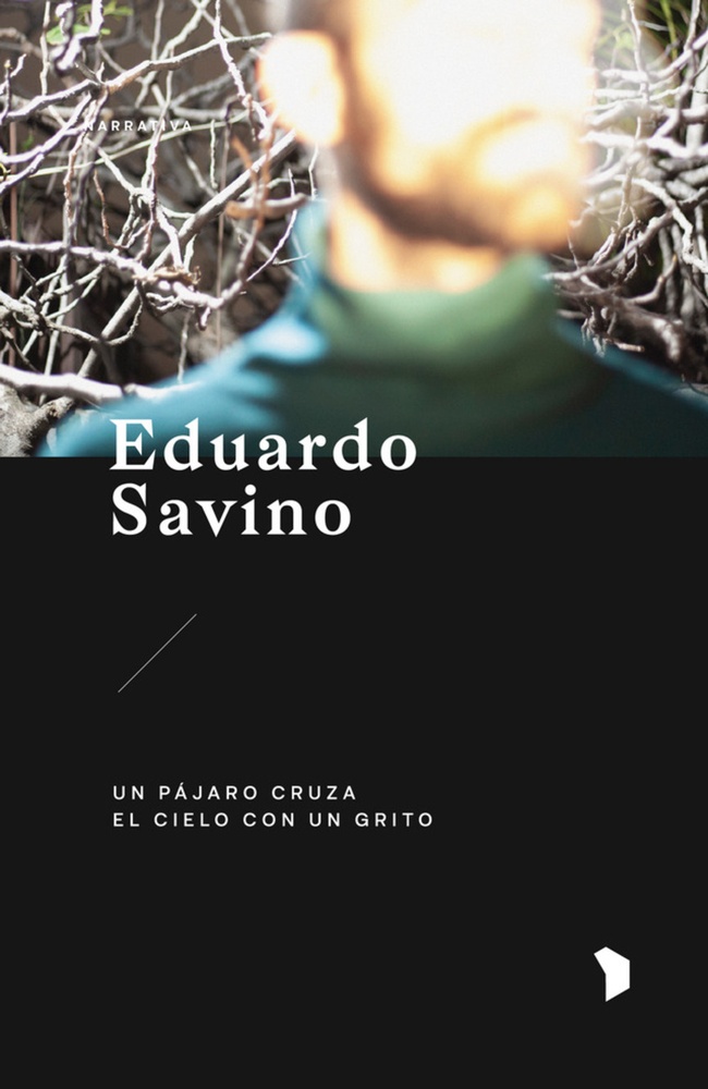Un pájaro cruza el cielo con un grito