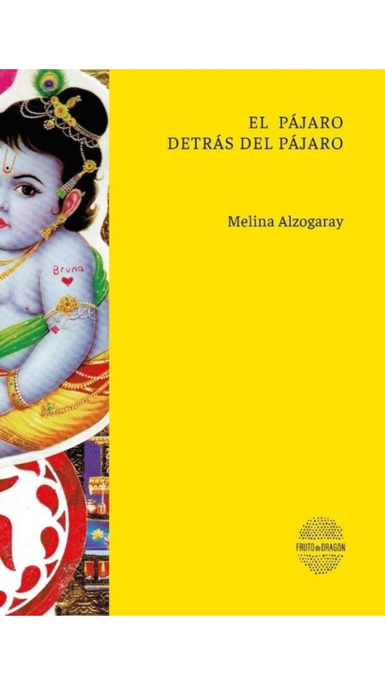 El pájaro detrás del pájaro