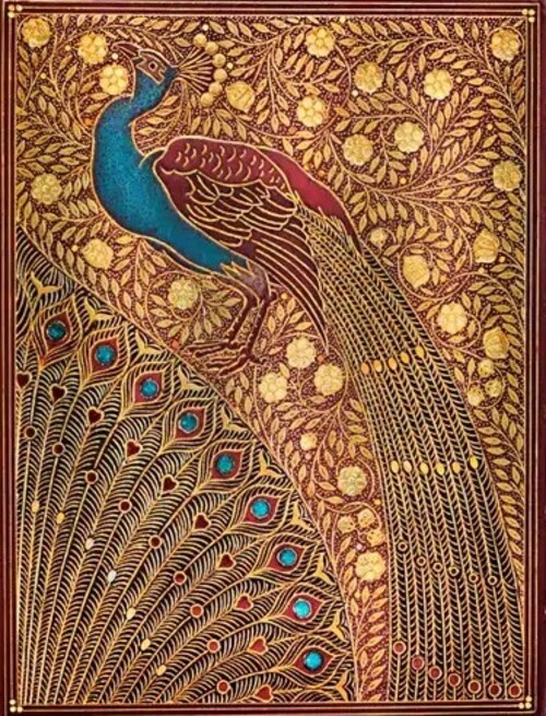 Pavos reales de hafez ultra-rayado