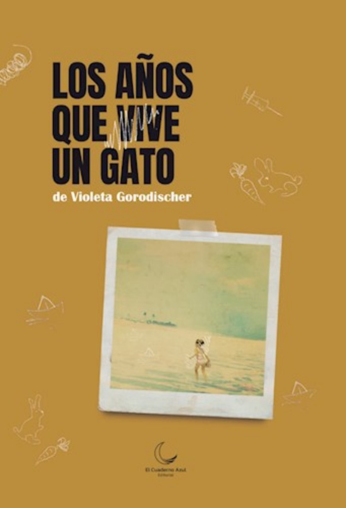 Los años que vive un gato