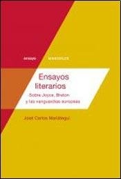 Ensayos literarios