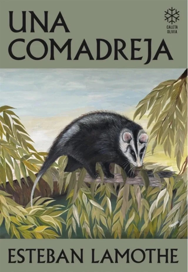 Una comadreja