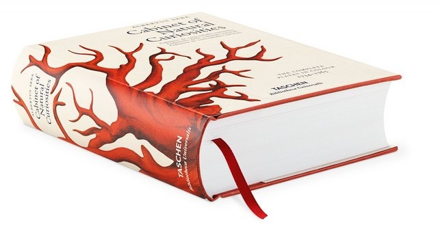 Cabinet of Natural Curiosities