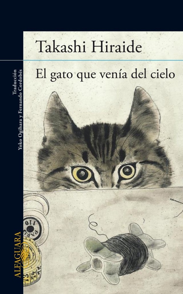 El Gato que venia del cielo