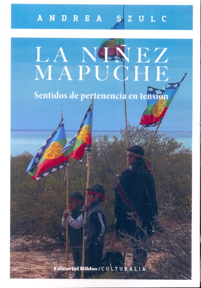 La niñez mapuche
