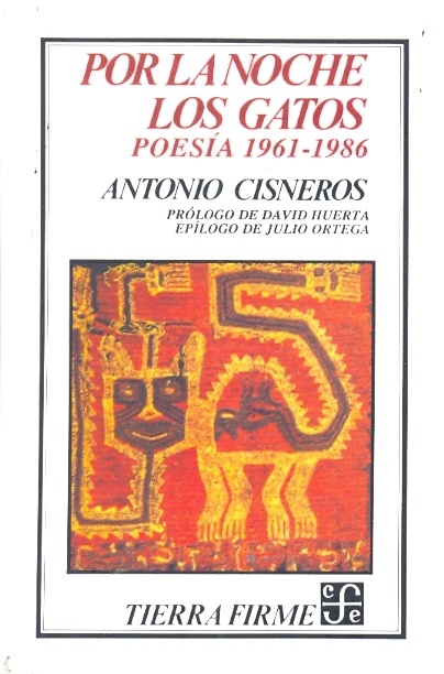 por la noche los gatos