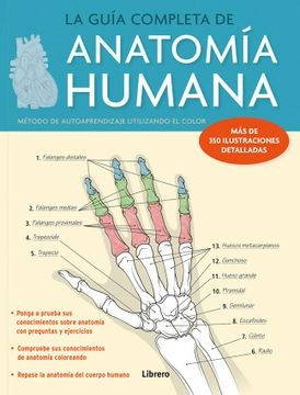 La guía completa de la anatomía humana