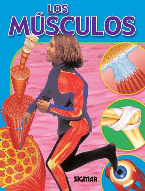 Los Musculos