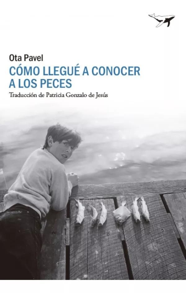 Cómo llegué a conocer a los peces