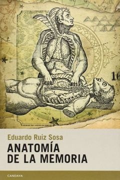 Anatomia de la memoria