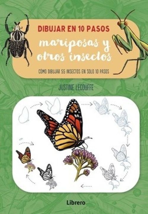 Dibujar mariposas y otros insectos en 10 pasos