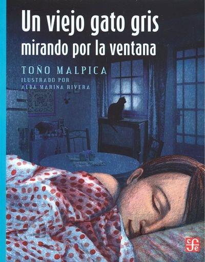 Un viejo gato gris mirando por la ventana