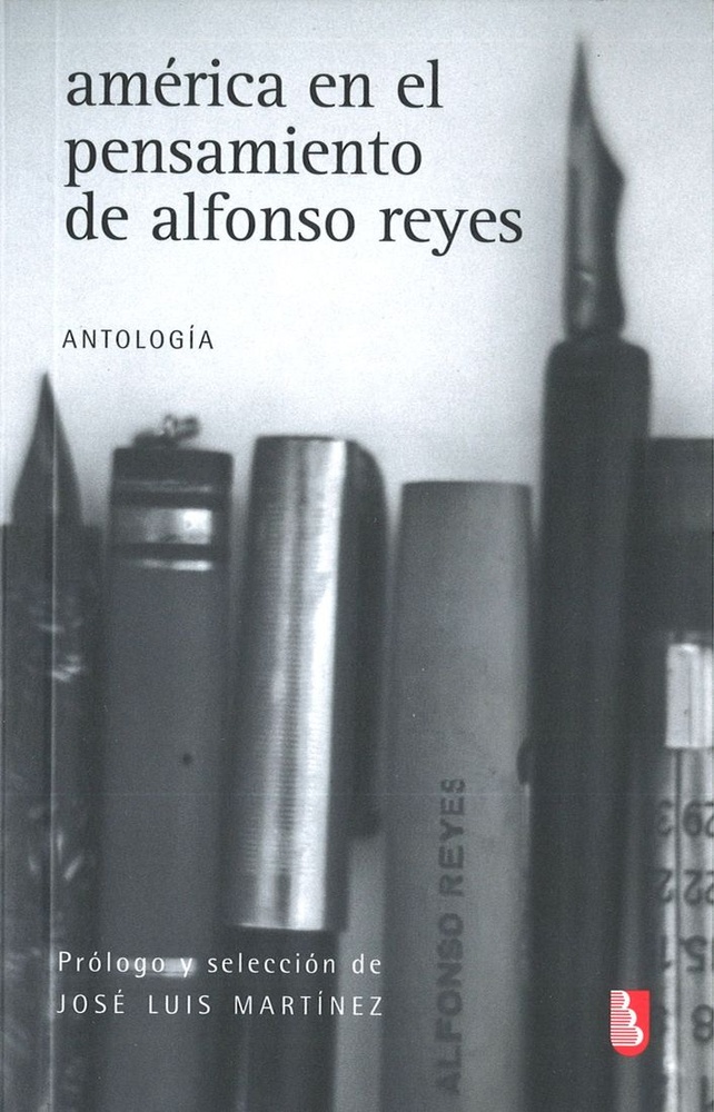 america en el pensamiento de alfonso rey