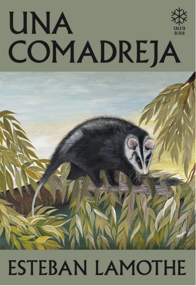 Una comadreja