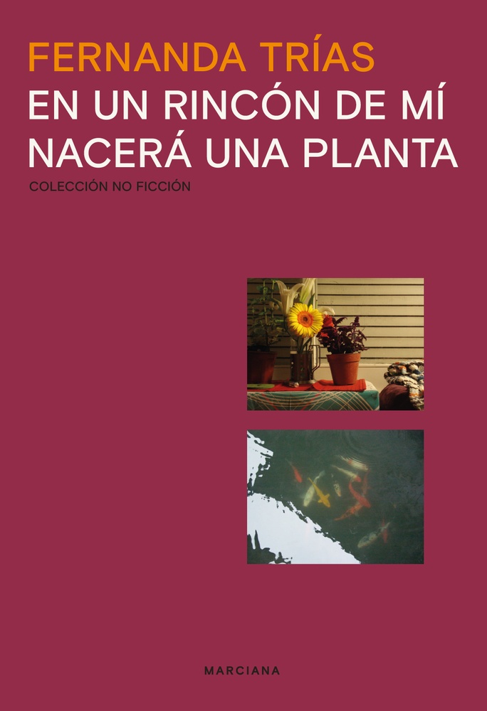 En un rincón de mí nacerá una planta
