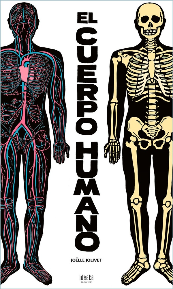 El cuerpo humano