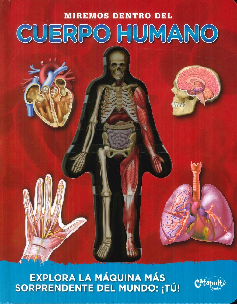 Miremos dentro del cuerpo humano - Nueva edicion