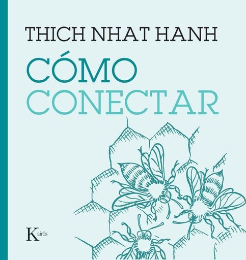 Como conectar
