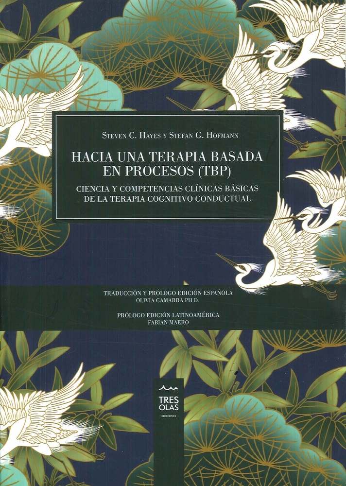 Hacia una terapia basada en procesos