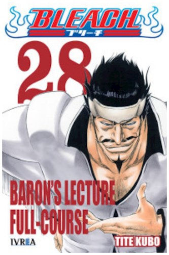 Bleach 28
