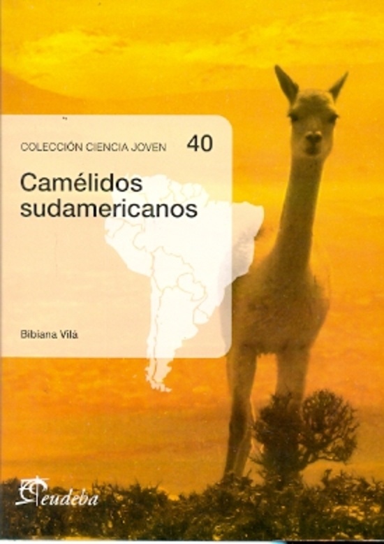Camelidos sudamericanos (nº40)