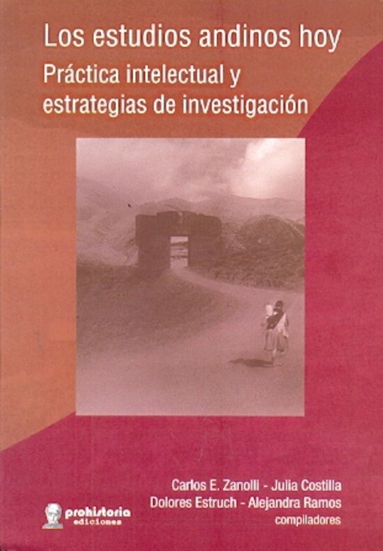 Los estudios andinos hoy