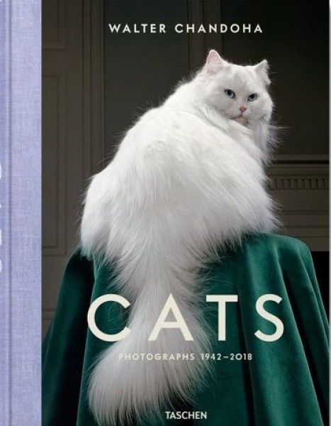 Cats. Photographs 1942-2018