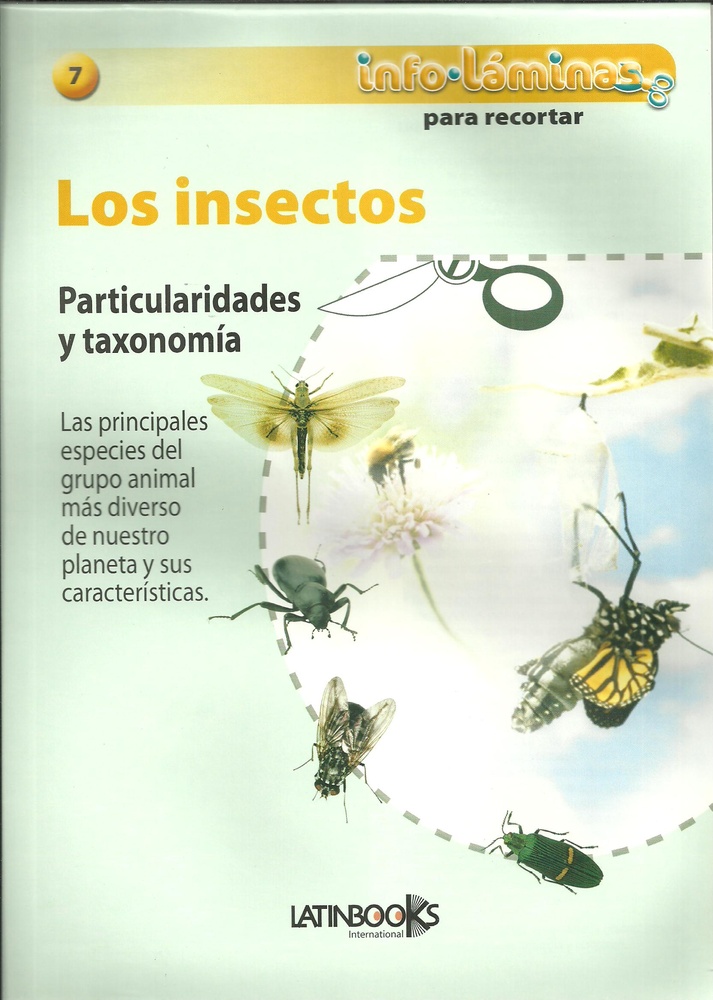 Insectos, Los (7)