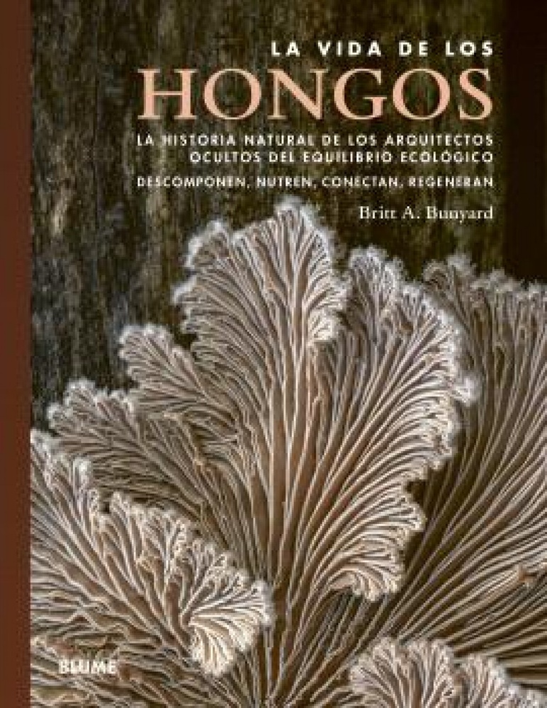 La vida de los hongos