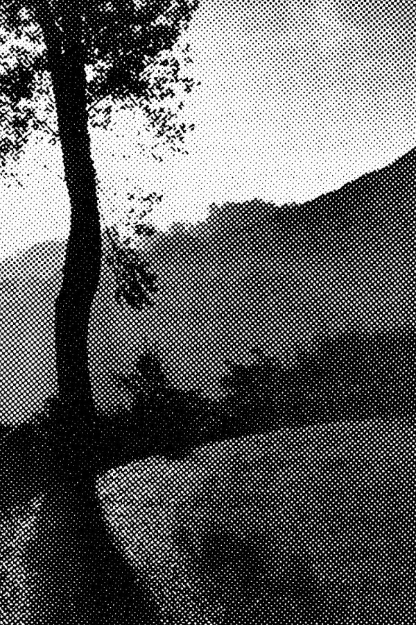 Entre la lumbre y la penumbra