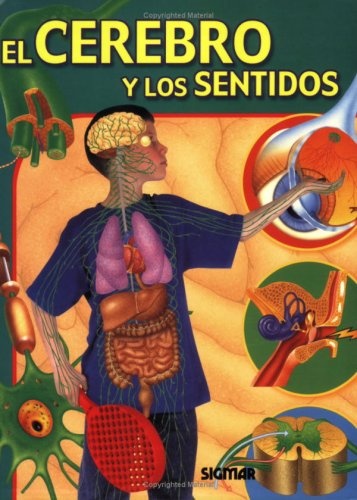 El Cerebro y los sentidos