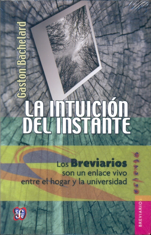 La intuicion del instante