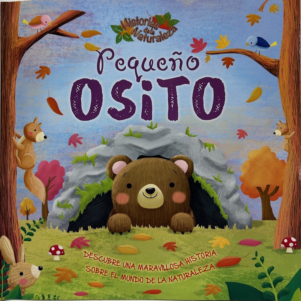 Pequeño osito