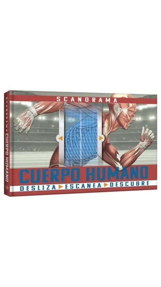 Cuerpo humano