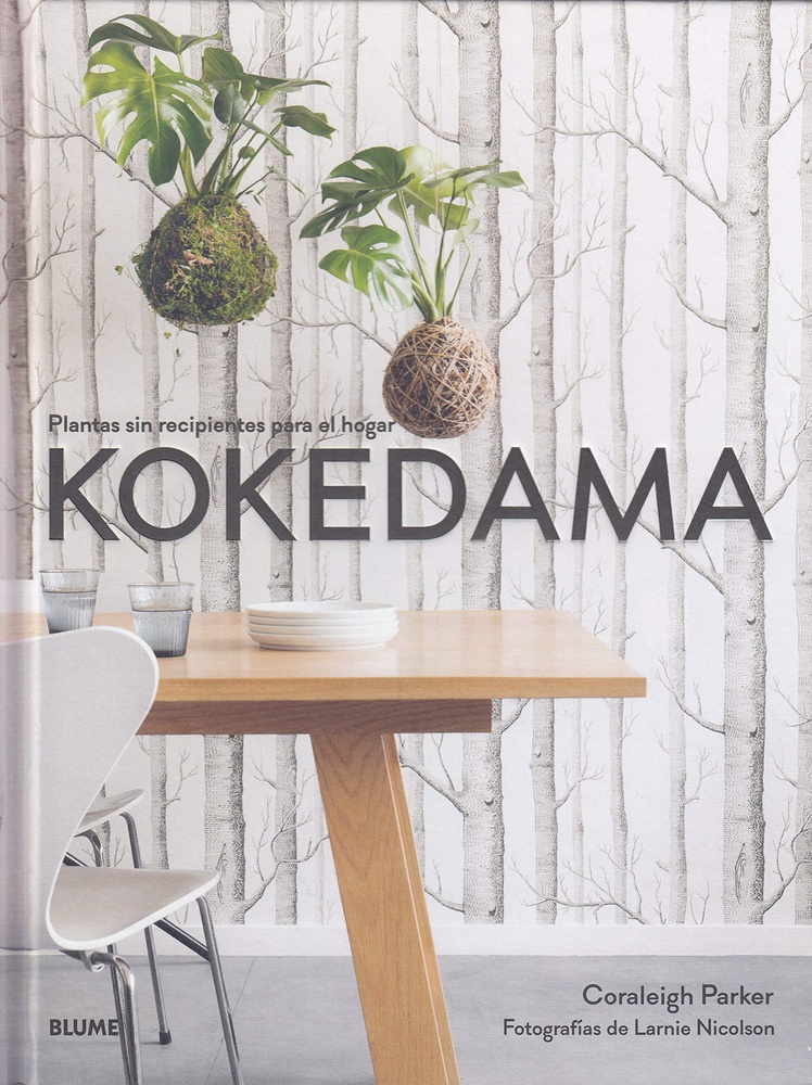 Kokedama. Plantas sin recipientes para el hogar