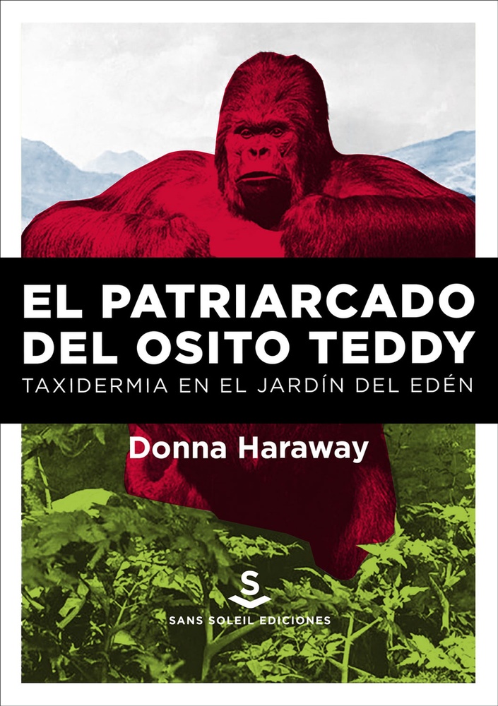 El patriarcado del Osito Teddy