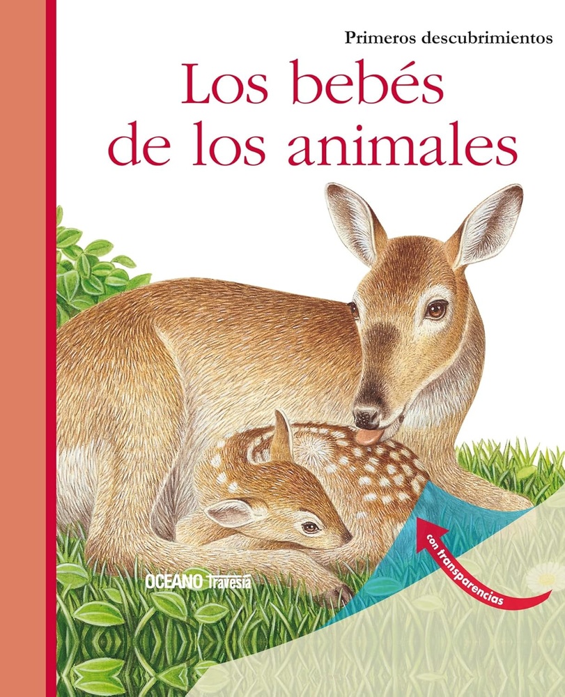 Los Bebes de los animales